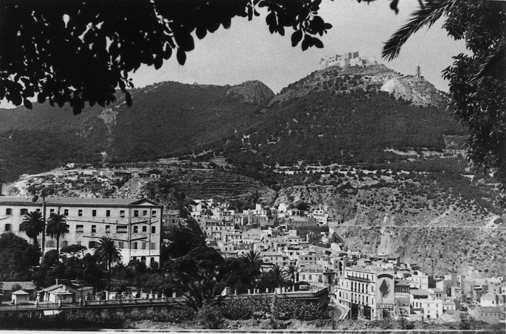ORAN 02336.jpg